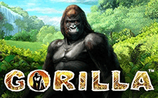 Игровой автомат Gorilla